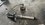 IMG_1582.jpeg