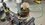 IMG_1581.jpeg