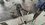 IMG_1577.jpeg
