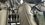 IMG_1585.jpeg