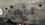 IMG_1555.jpeg