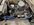 IMG_0006.jpeg