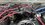 IMG_1594.jpeg