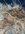 1BFF4470-818B-46EF-BC91-BBBCB220A854.jpeg