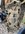 08CCD88D-1731-4D9B-BDDC-16DF239365DB.jpeg