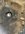 9C03A453-066A-4F59-9D48-222D2E0229CC.jpeg