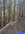 trail.1.jpg