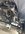 IMG_5110.jpeg