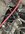 IMG_5118.jpeg