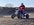 9CE28055-7338-4A53-83FE-3C5136FFCB12.jpeg