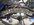 00C8F649-903C-4228-9A6B-0C221AB642B7.jpeg