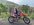 CDDD97DC-20DA-4758-8DF0-C444DABC656B.jpeg