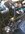IMG_20210729_192403838.jpg