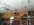 IMG-2575.JPG IMG-2575.JPG