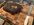 A2BA1AF4-1DB4-4807-B405-4C0CCBE3B8CC.jpeg