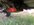 91CD1639-A26C-4BCF-9144-A7D92D97A165.jpeg