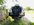 5D74F3F9-143F-4932-B323-DB3EFFD07856.jpeg