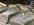 4DE43453-864A-4568-B62D-6E9705693025.jpeg