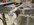 1053D830-61D5-449F-B8A9-6E587ABF07E0.jpeg