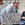 FB_IMG_1629392616639.jpg