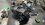 IMG_1916.jpeg IMG_1916.jpeg
