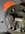 648E6281-8F93-40D6-97AD-B534A3B95450.jpeg
