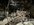 IMG_1674.JPEG