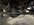 IMG_1676.JPEG