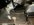 IMG_1687.JPEG