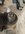 20210825_160659.jpg