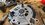 44BB8D55-EEF4-40EE-8A34-4426EAE8F555.jpeg