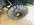 D46B78BE-2C8B-4614-A40D-106EAB9BA87F.jpeg