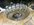 73E83035-BC81-42FF-90FE-F99439CB56B3.jpeg