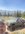 IMG_2967.JPEG