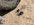 480525B6-68FE-4D1A-B2FE-FF5DE25E3B84.jpeg