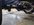PXL_20210912_021446292.jpg