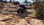 74EFC960-AD1A-4FFC-9301-0F609E4367E4.jpeg