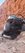 FB_IMG_1631756863533.jpg