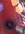 7CA82E9F-A928-4EDC-9DD6-330D9B4B9935.jpeg