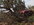DSCF6046.JPG