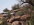 DSCF6047.JPG