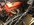 D7DEF7A9-D2D0-41A3-B4C7-E12530AB98F2.jpeg