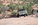 DSC_0796.JPG