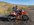 407778D4-79EF-4F93-8D1D-235E30BA6CC2.jpeg