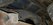 Rear wheel well and floor .jpg