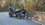 IMG_2493.jpeg