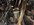 A2995FEC-CAAF-4297-958A-CE1518F9D6D9.jpeg