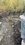 IMG_2527.jpeg