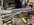 8FD64006-4577-4721-BC77-077C3BD093D2.jpeg