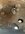 C74EE924-FA9C-479C-A6F8-EBC8987F79A2.jpeg